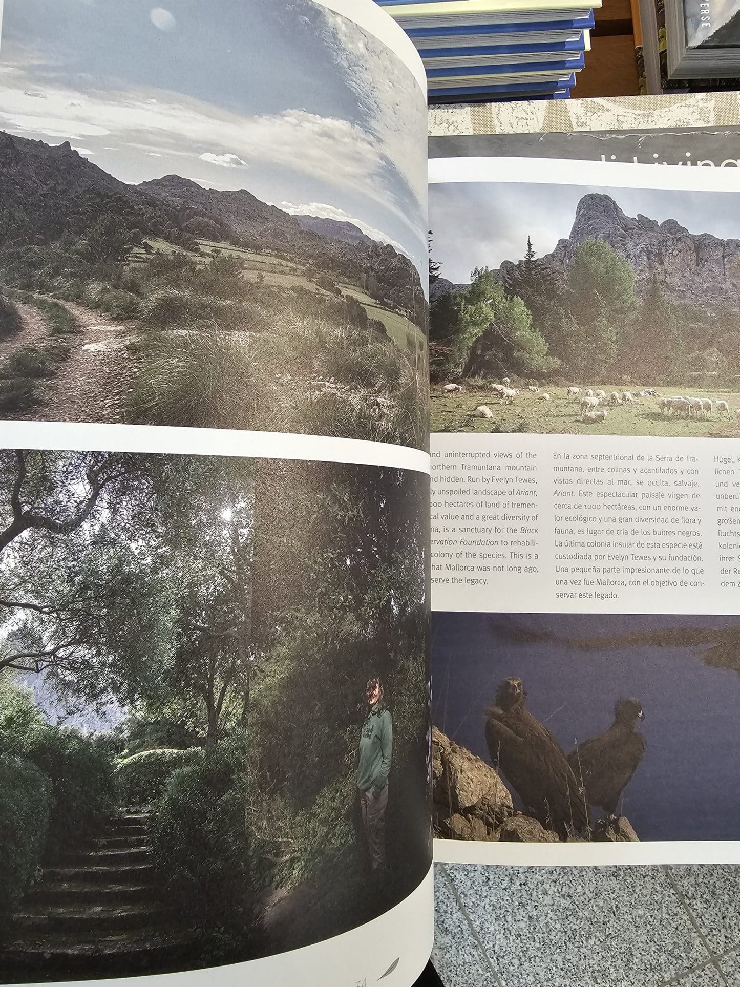 New Mags - "Green Mallorca"