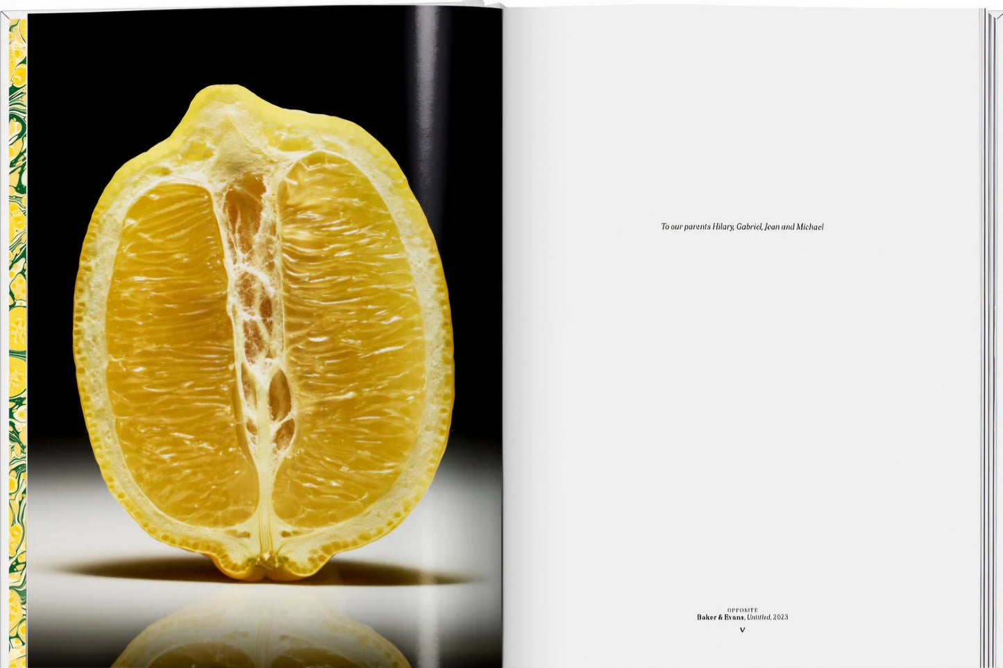 New Mags - The Gourmand´s Lemon. A Collection of Stories and Recipes