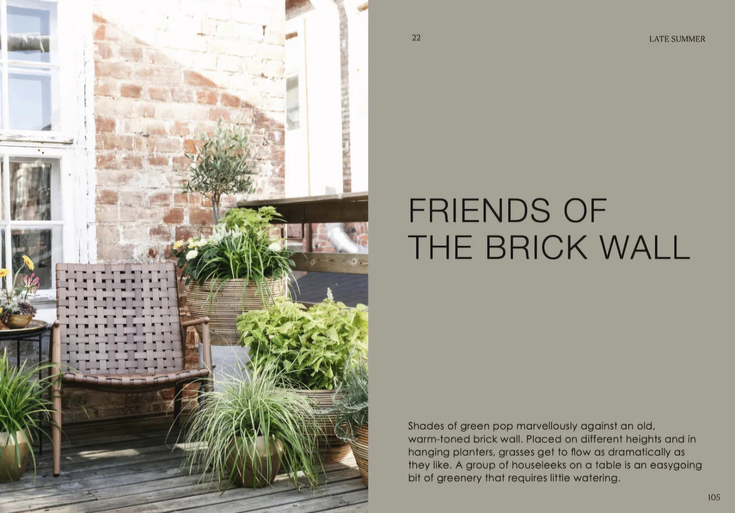 New Mags - The Potted Garden