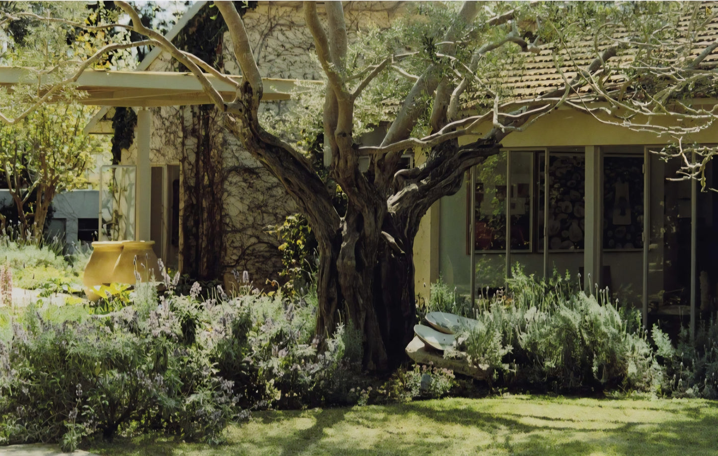 New Mags - Miditerranean Homes - The Art of Embracing Light