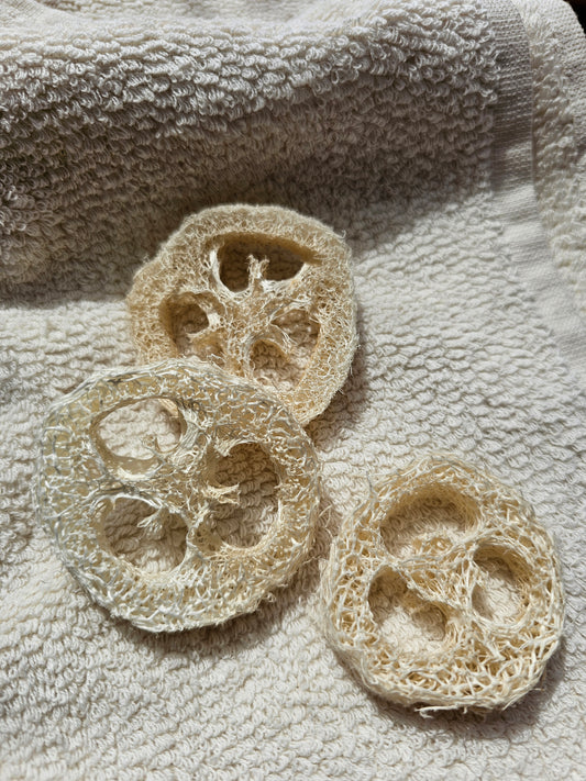 Munkholm - Loofah Skive, Sæbeunderlag