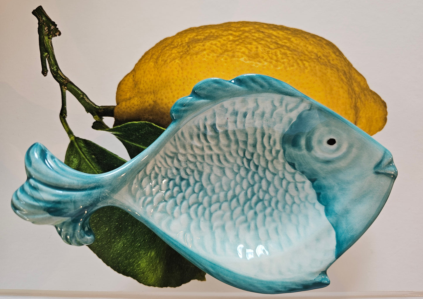 VBC Casa - Et lille Fiskefad, 20x12 cm., Stentøj - Fås i 5 farver, creme, turkis, lime, rød og blå