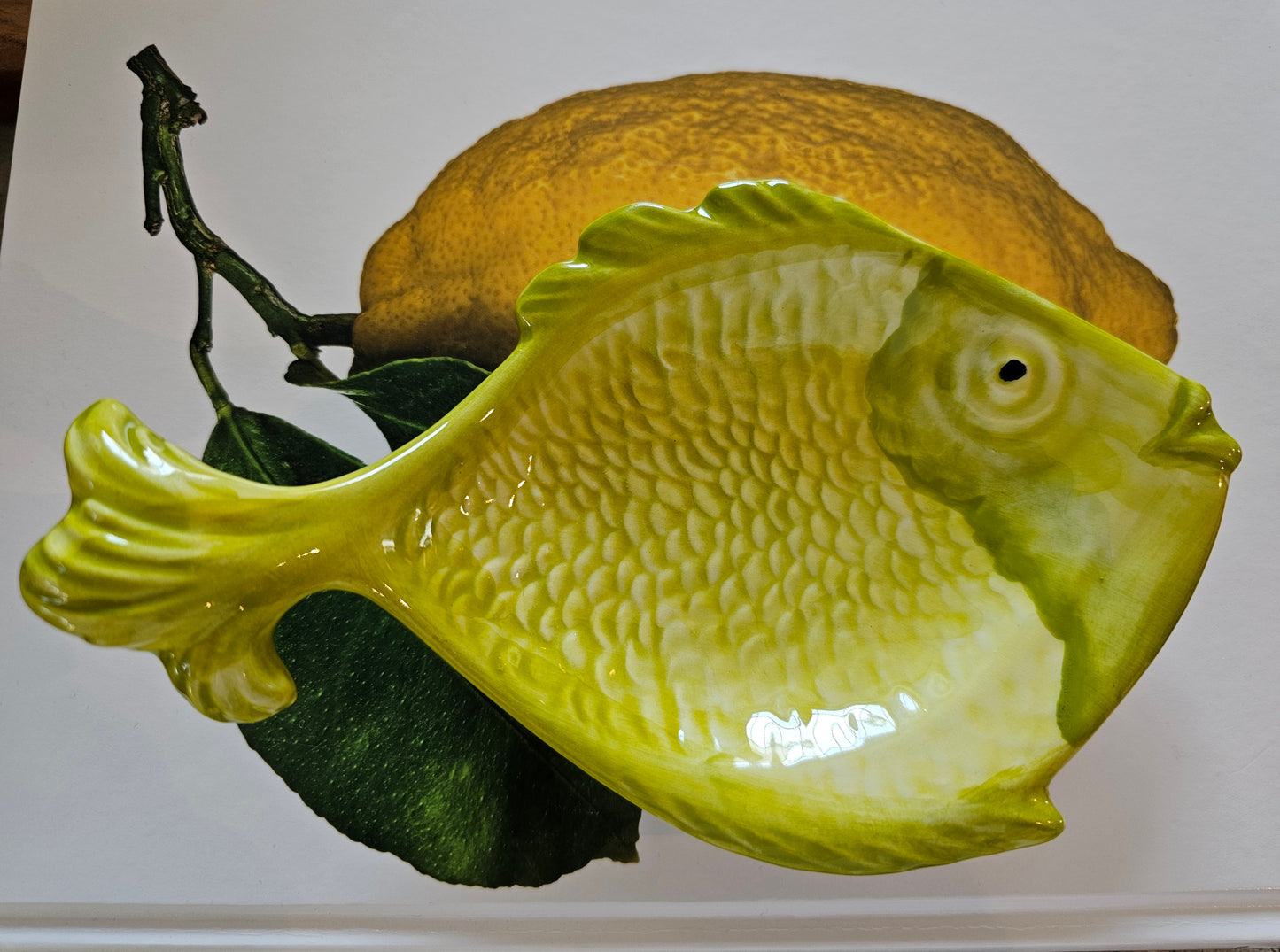 VBC Casa - Et lille Fiskefad, 20x12 cm., Stentøj - Fås i 5 farver, creme, turkis, lime, rød og blå