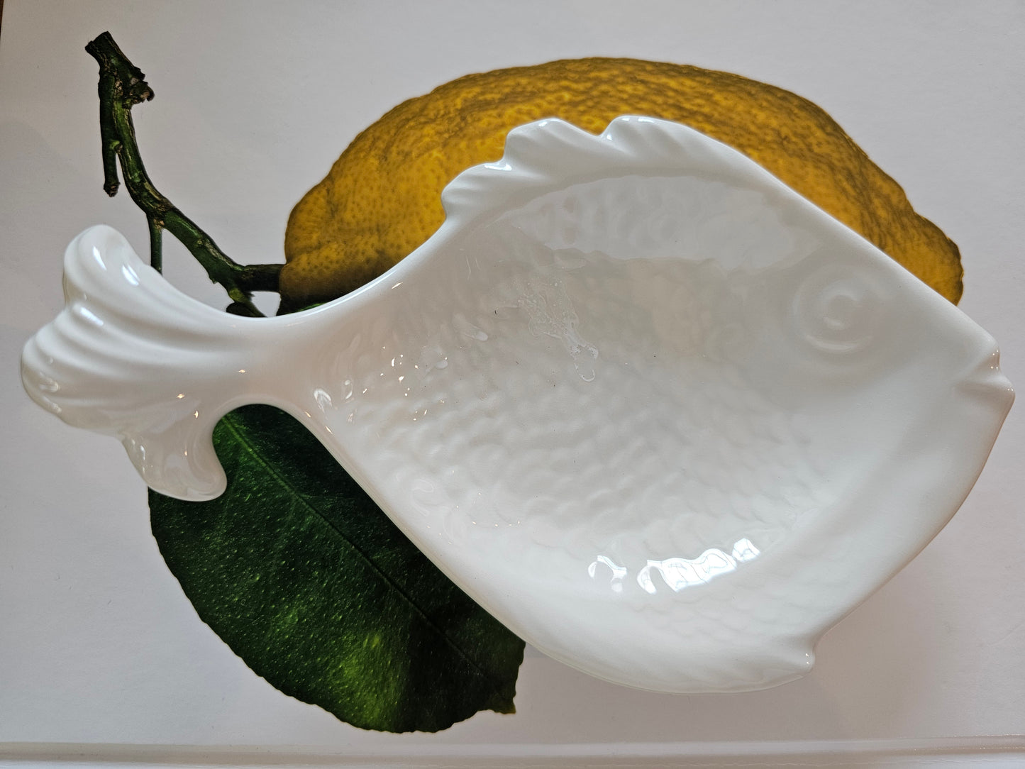 VBC Casa - Et lille Fiskefad, 20x12 cm., Stentøj - Fås i 5 farver, creme, turkis, lime, rød og blå