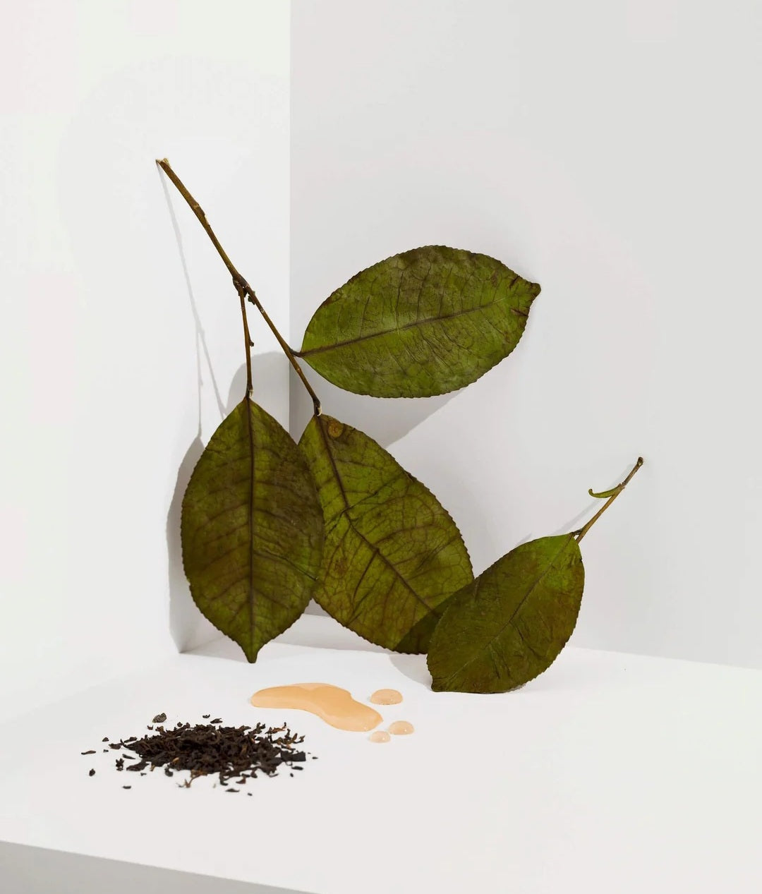Cocoon Tea Artisans - Earl Grey Tea, 12x2 gr.