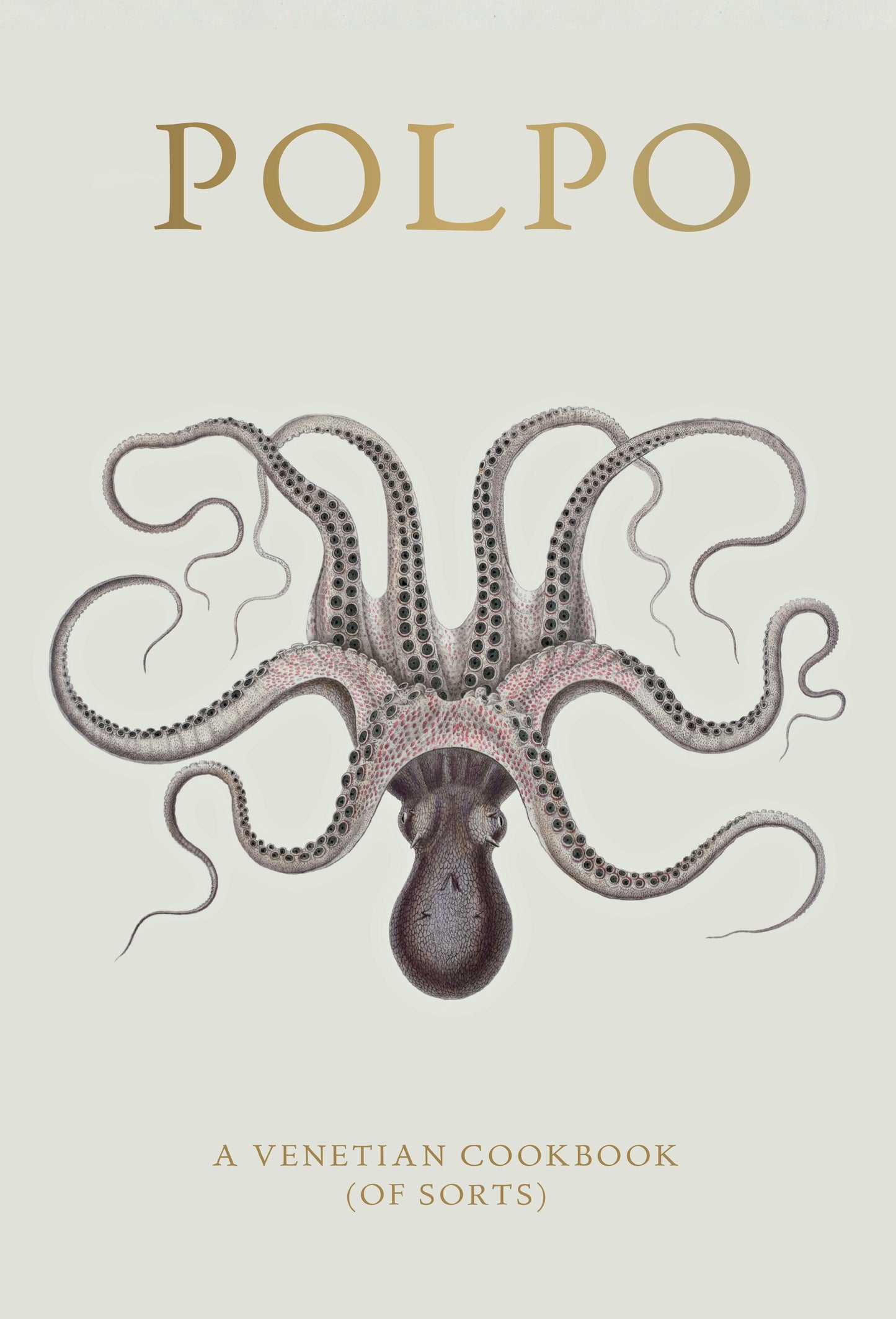New Mags - POLPO