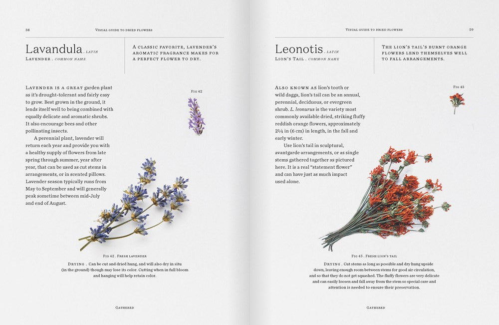 New Mags - "Modern Dried Flowers" - 20 everlasting project to craft, style, keep and share af Angela Maynard