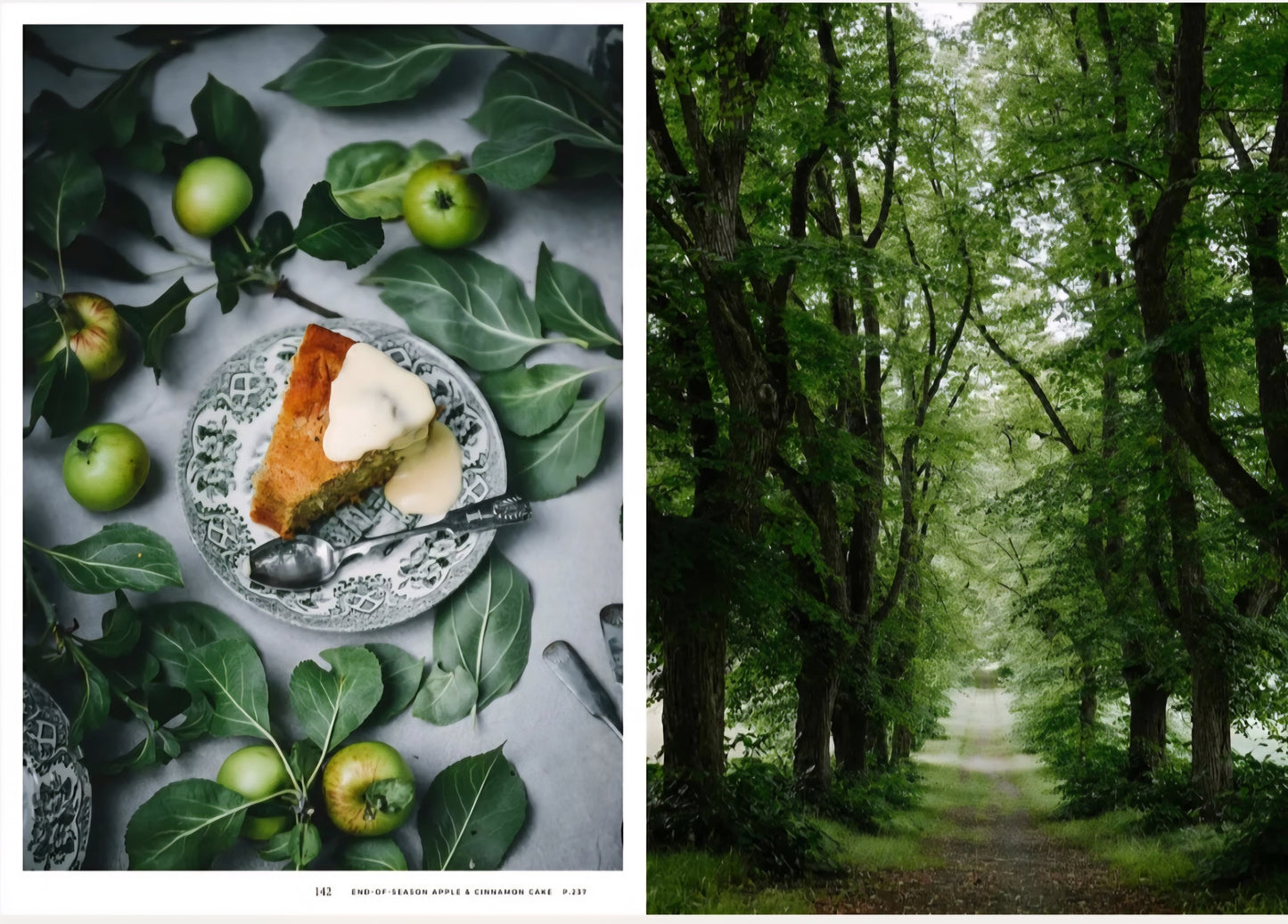 New Mags - Nordic Summer Cookbook, Viola Minerva Virtamo