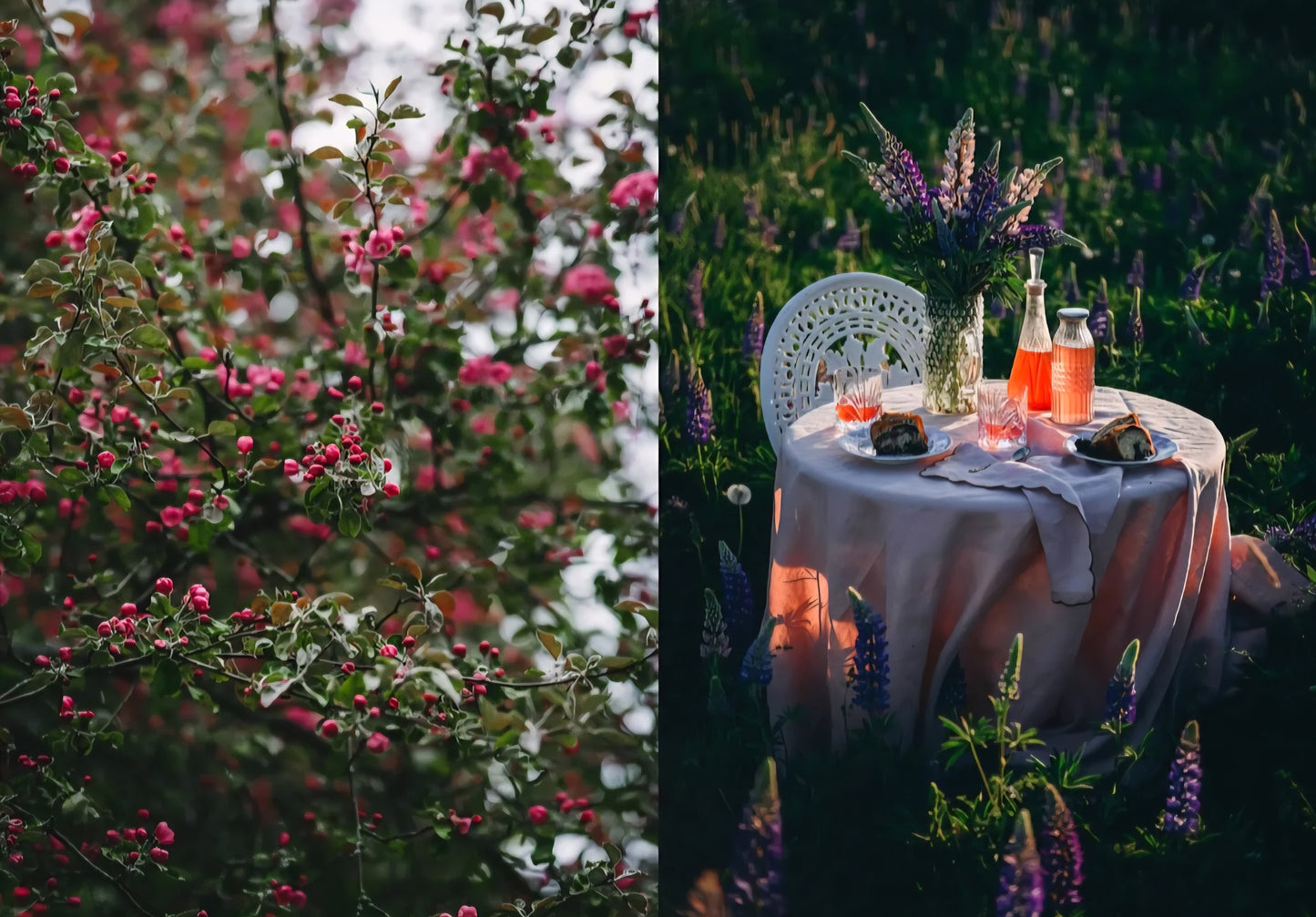 New Mags - Nordic Summer Cookbook, Viola Minerva Virtamo
