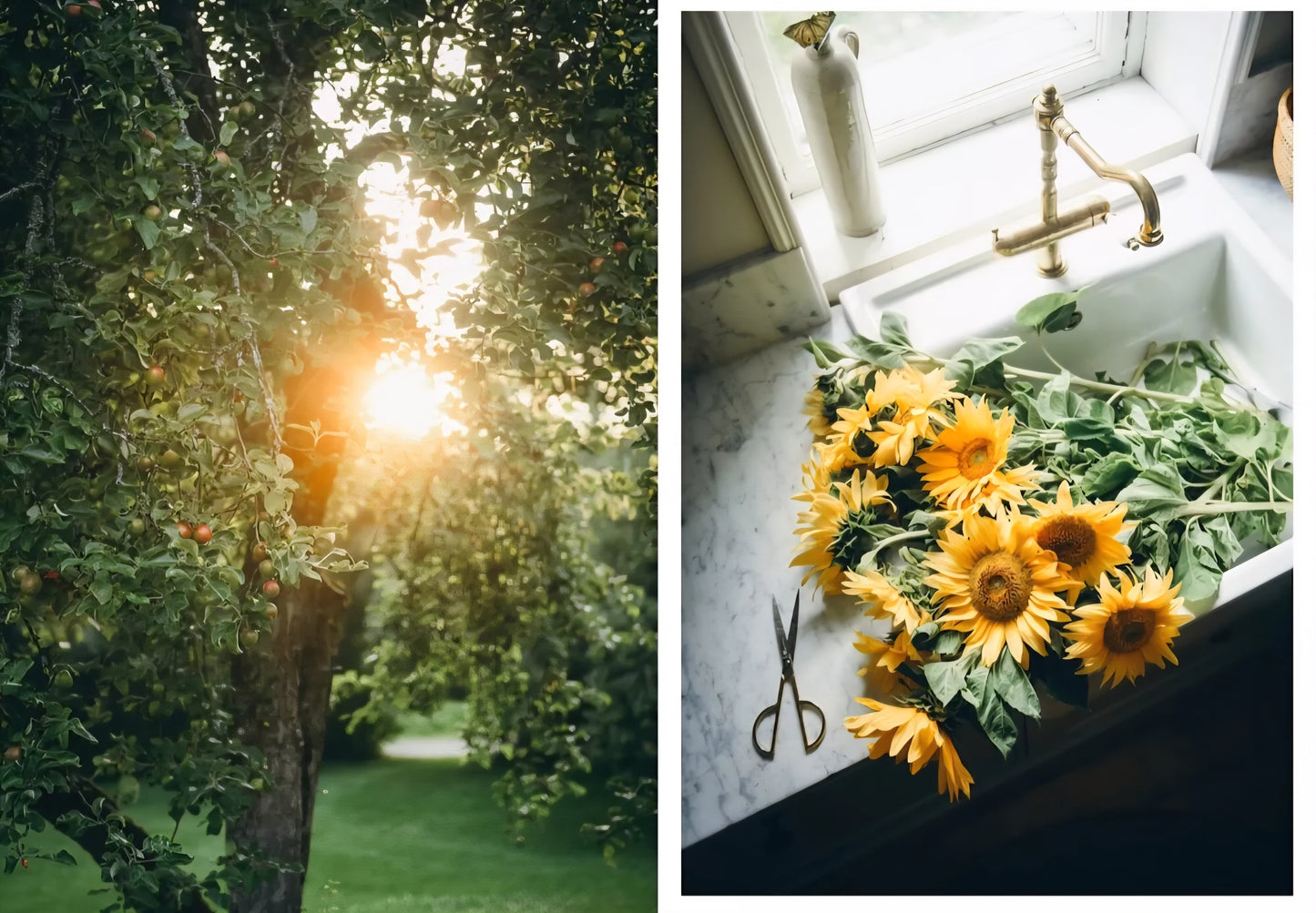 New Mags - Nordic Summer Cookbook, Viola Minerva Virtamo