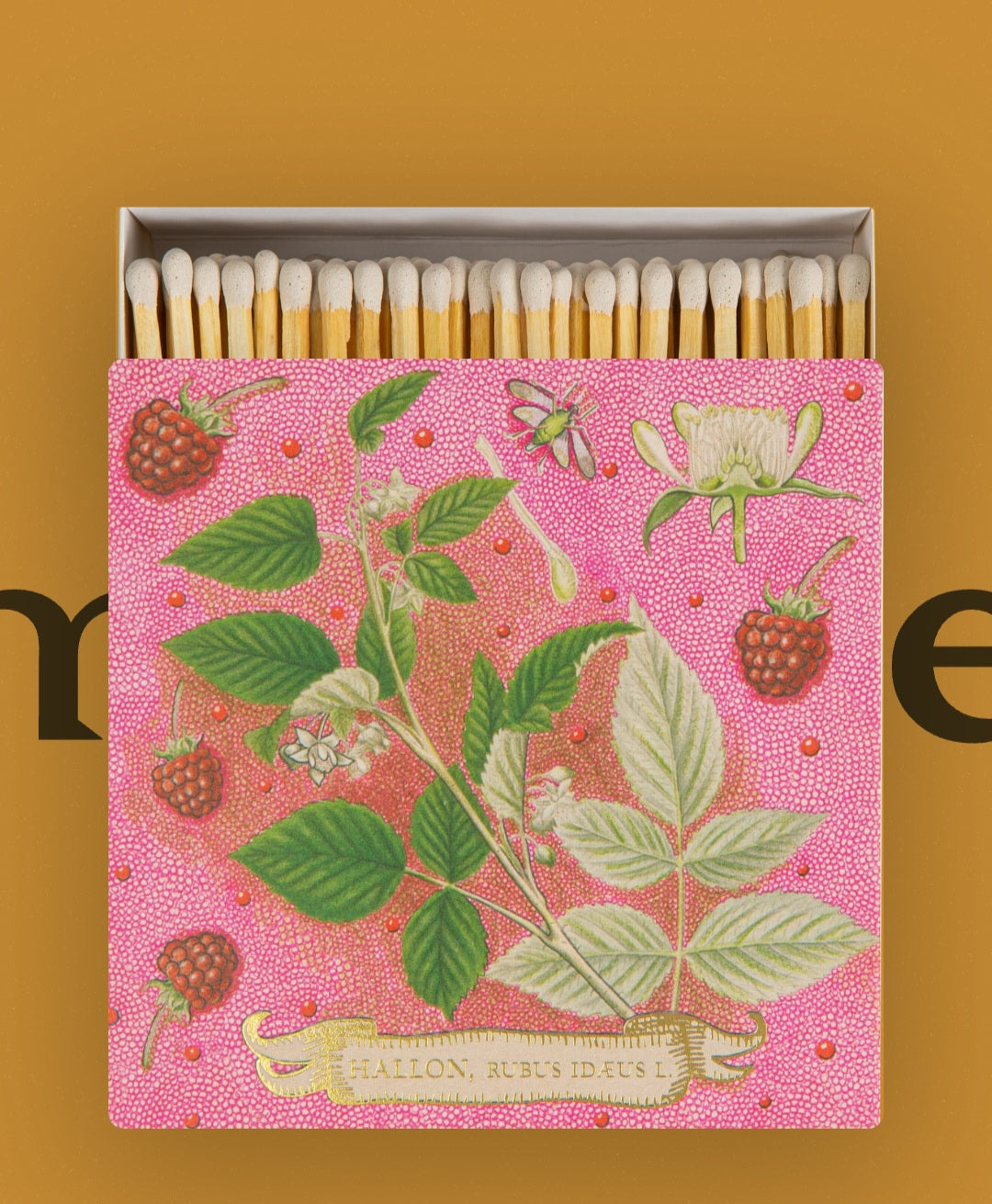 Archivist Gallery - Fabulous Square, Safety Matches