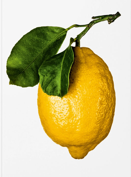 New Mags - The Gourmand´s Lemon. A Collection of Stories and Recipes