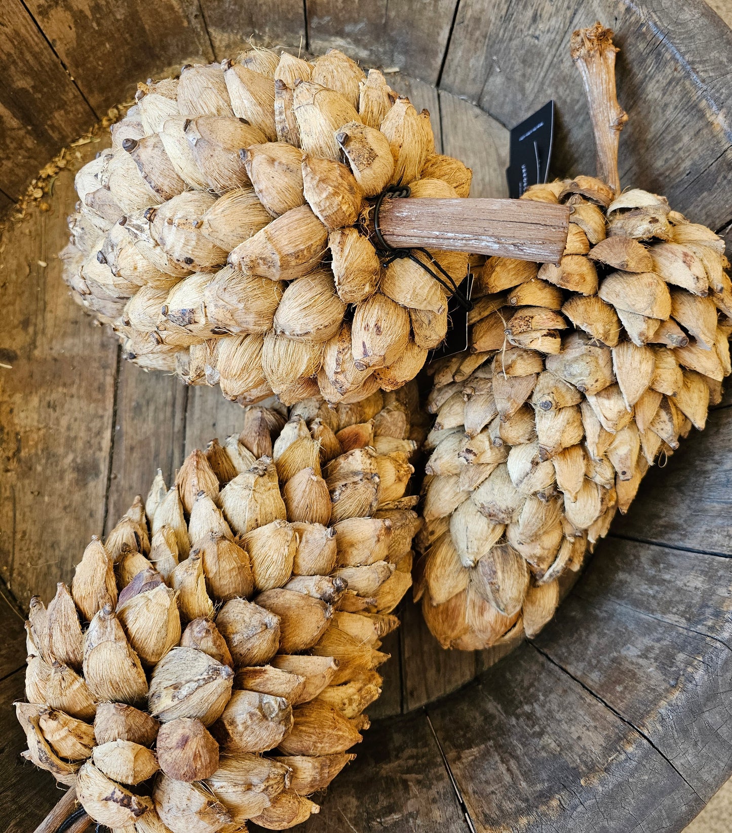 Jakobsdals - Flore Grape Decoration, Natur