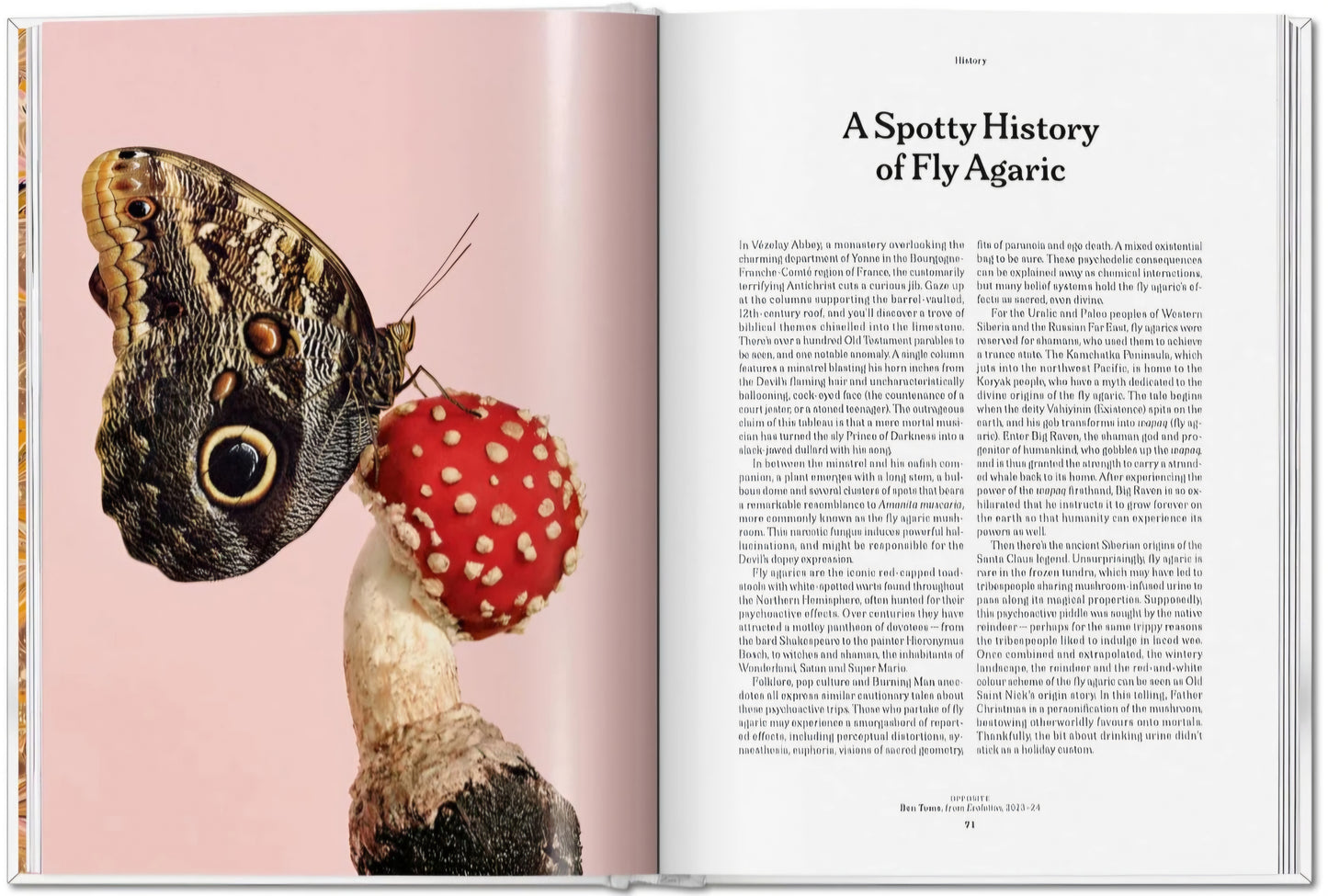 New Mags - The Gourmand´s Mushroom. A Collection of Stories & Recipes