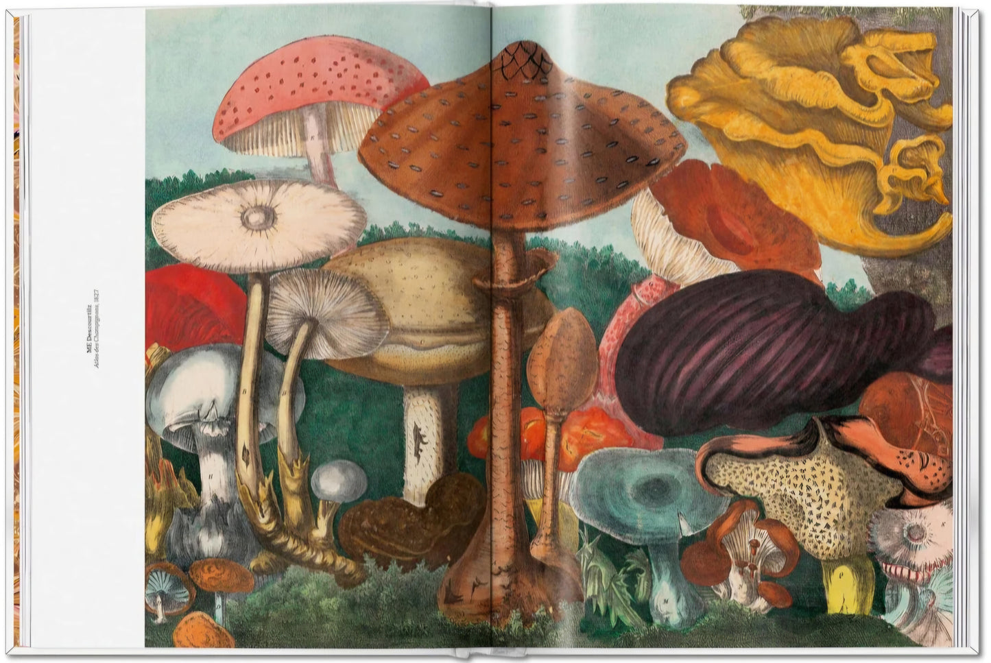 New Mags - The Gourmand´s Mushroom. A Collection of Stories & Recipes
