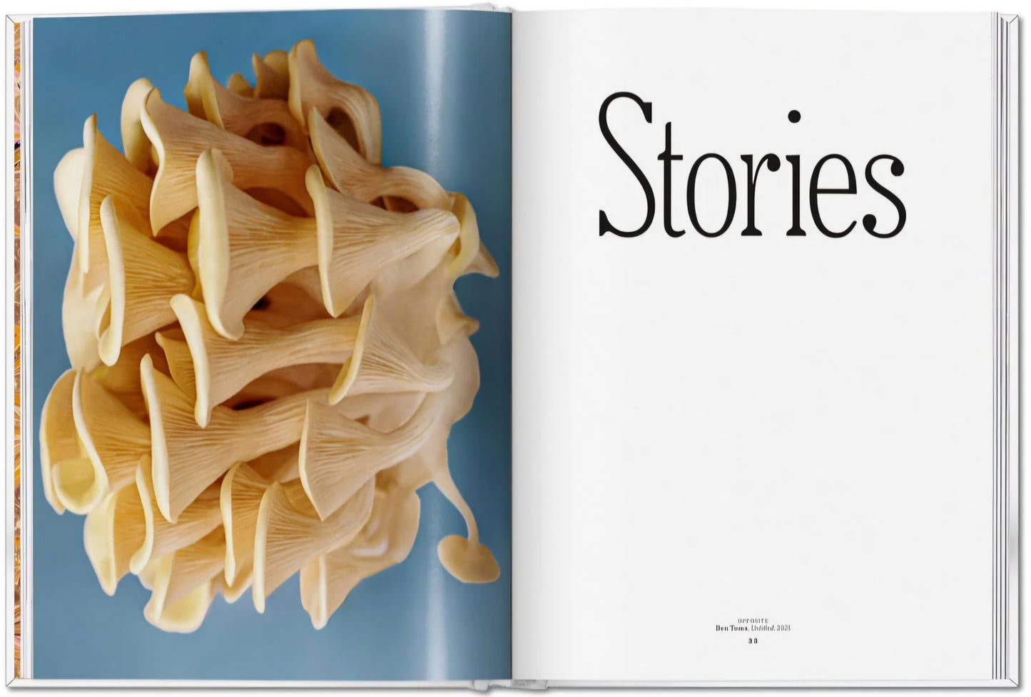 New Mags - The Gourmand´s Mushroom. A Collection of Stories & Recipes