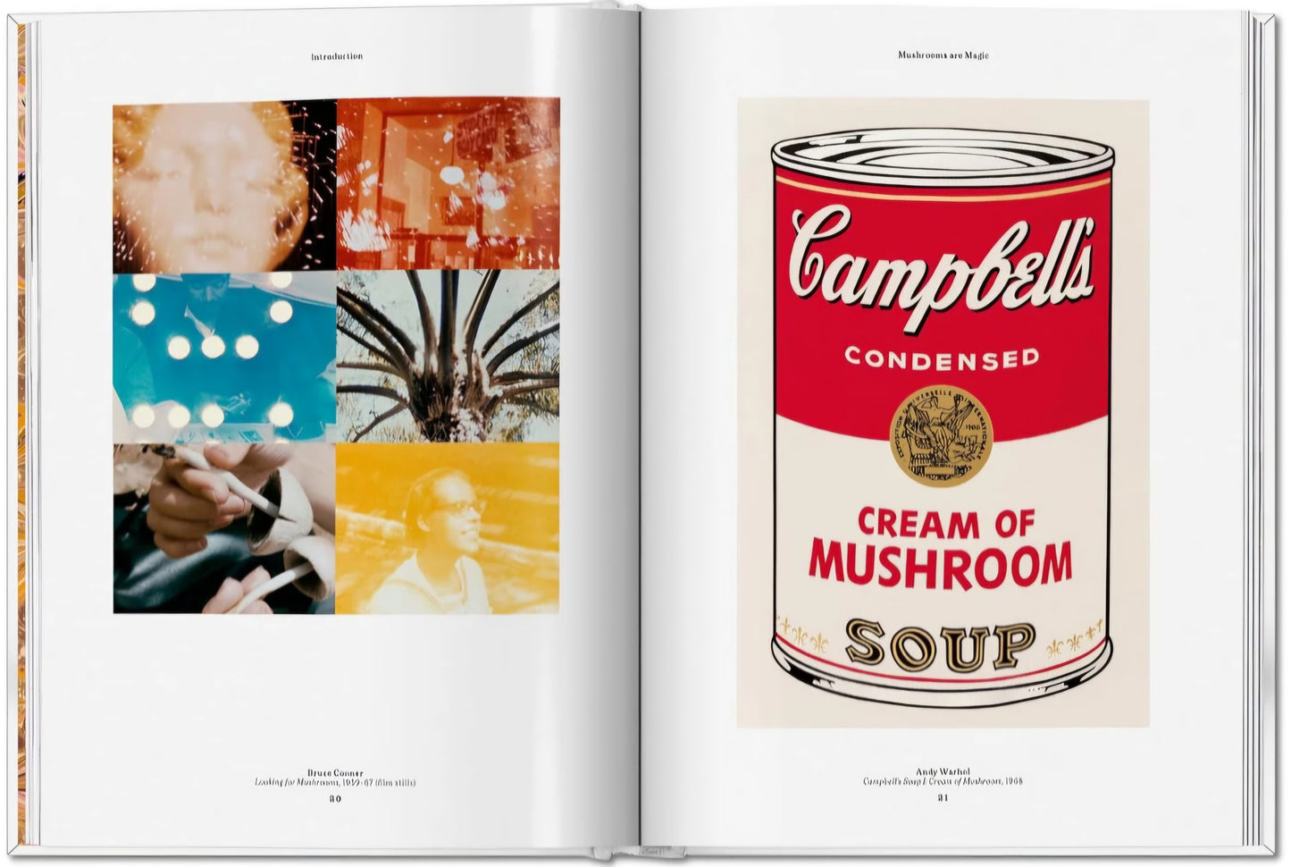 New Mags - The Gourmand´s Mushroom. A Collection of Stories & Recipes