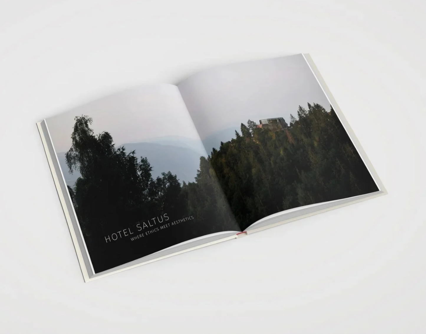 New Mags - Stays to Remember