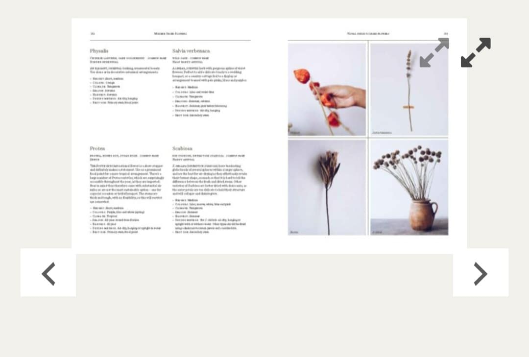 New Mags - "Modern Dried Flowers" - 20 everlasting project to craft, style, keep and share af Angela Maynard