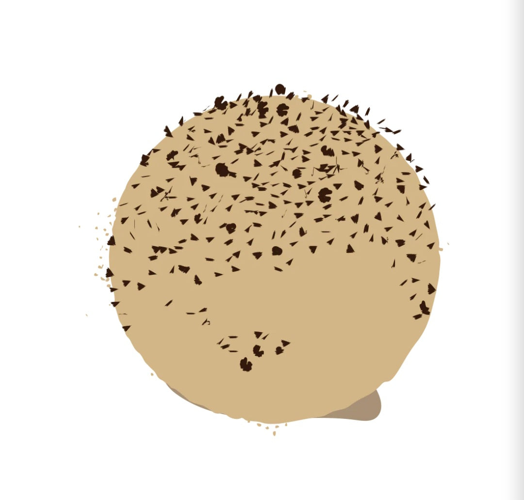 Trøfleriet - Trøffelkugle - fås i flere smagsvarianter