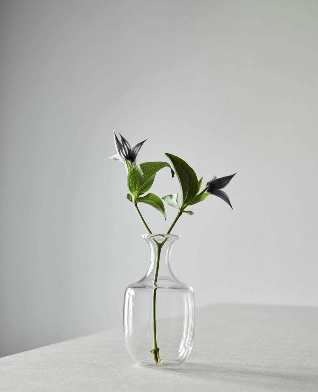 Tell Me More - Como Glasvase, Klart Glas, Fås i 3 størrelser - S, M & L